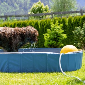 Relaxdays Hundepool Kunststoff Blau Faltbar 30 cm x 160 cm 4,9 kg