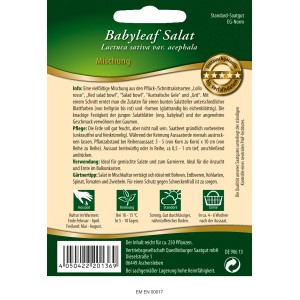 Saatgutpackung Quedlinburger Pflücksalat-Mischung "Babyleaf", 5 Sorten für bunten Salat.