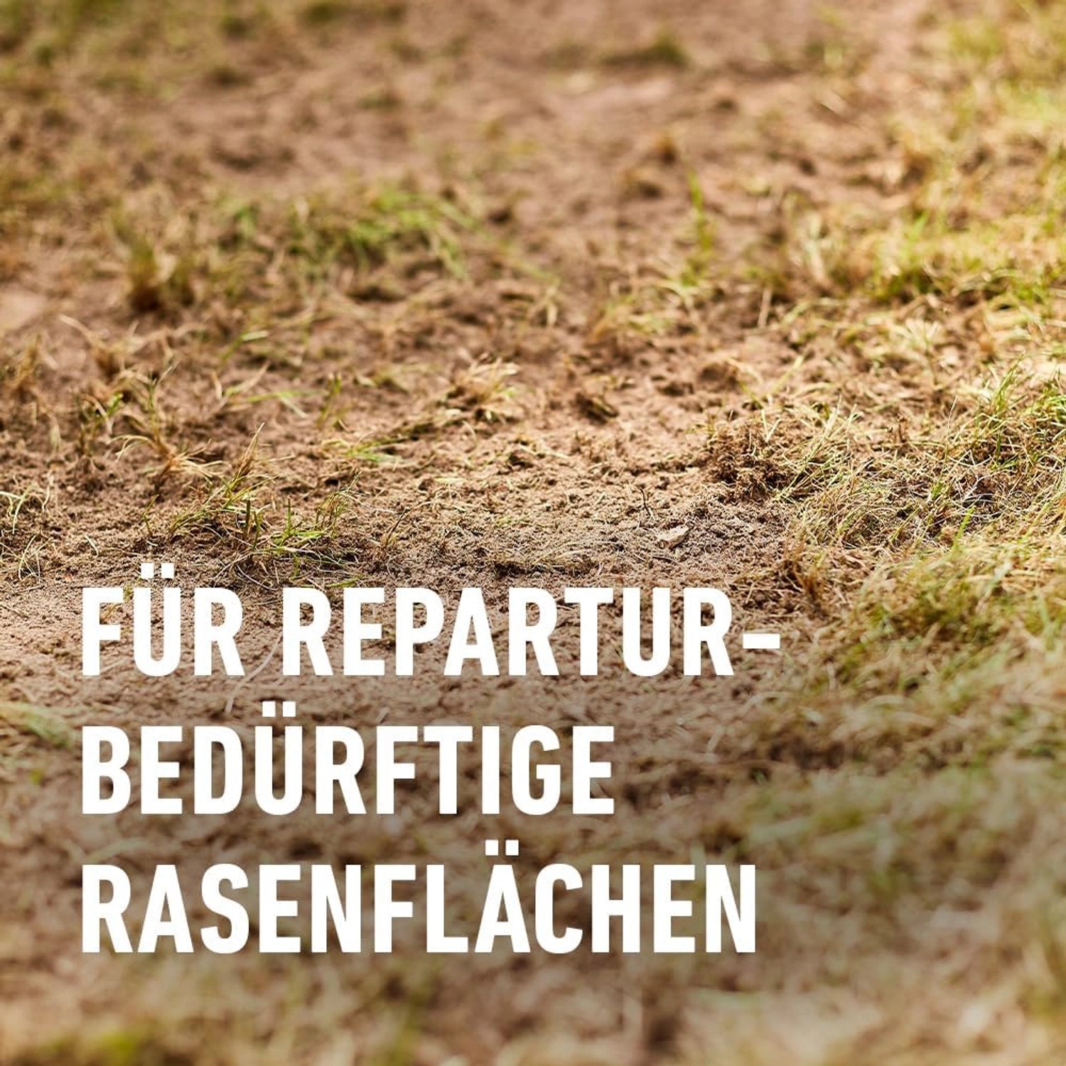 Compo Rasen Nachsaat Turbo 1 kg kaufen bei OBI