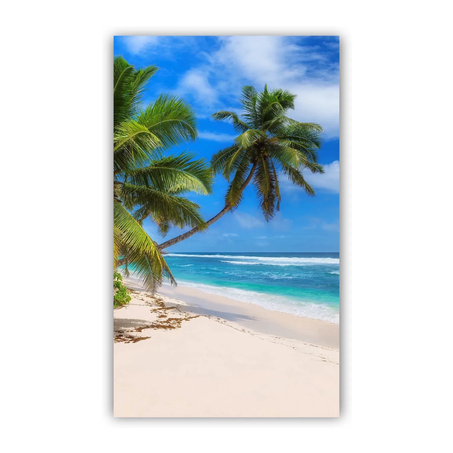 Walllux Duschrückwand Paradies Strand Alu-Verbund 3 mm 150 x 255 cm