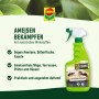 Compo Ameisen-Stop N, 750ml Spray zur Ameisenbekämpfung im Haus und Garten.