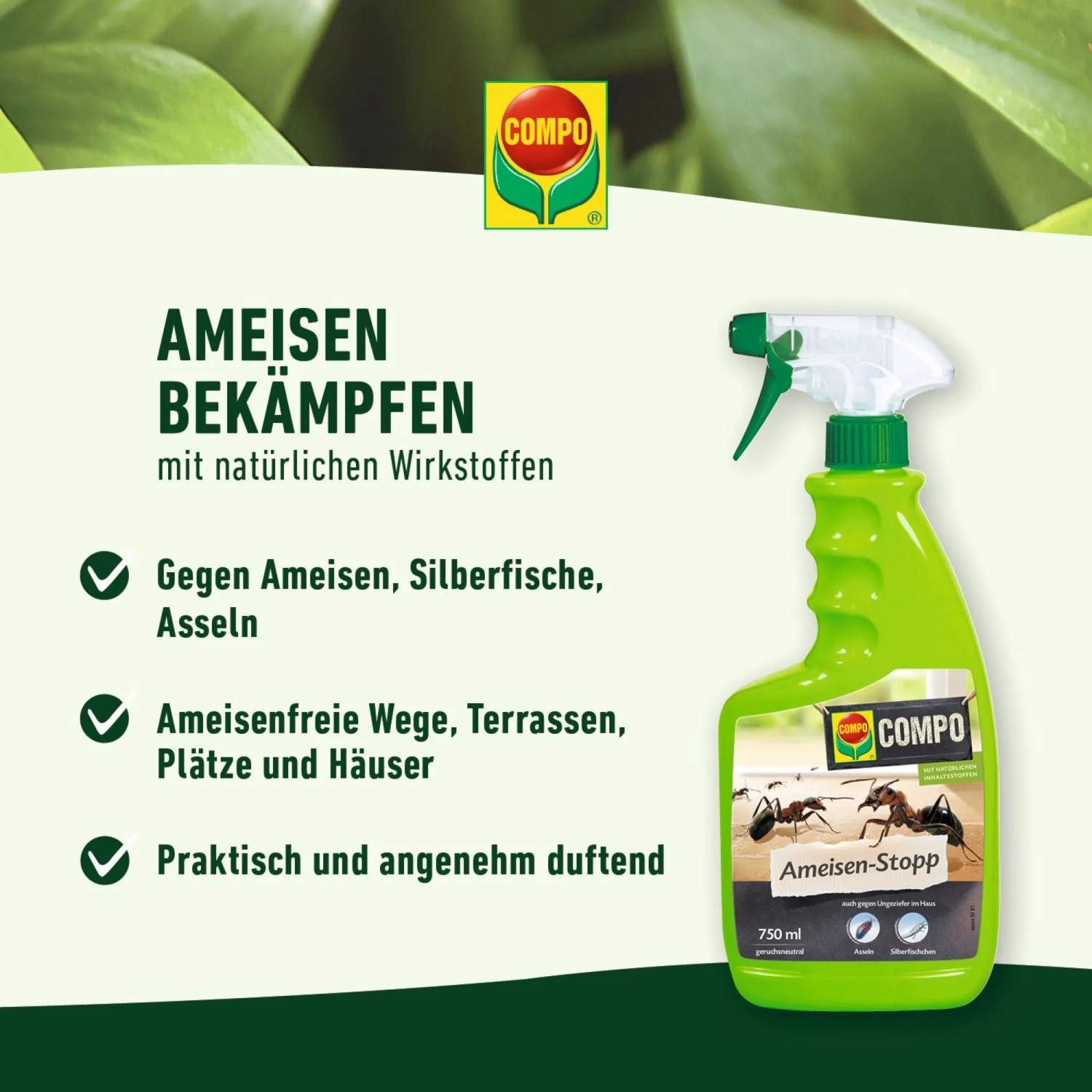 Compo Ameisen-Stop N, 750ml Spray zur Ameisenbekämpfung im Haus und Garten.