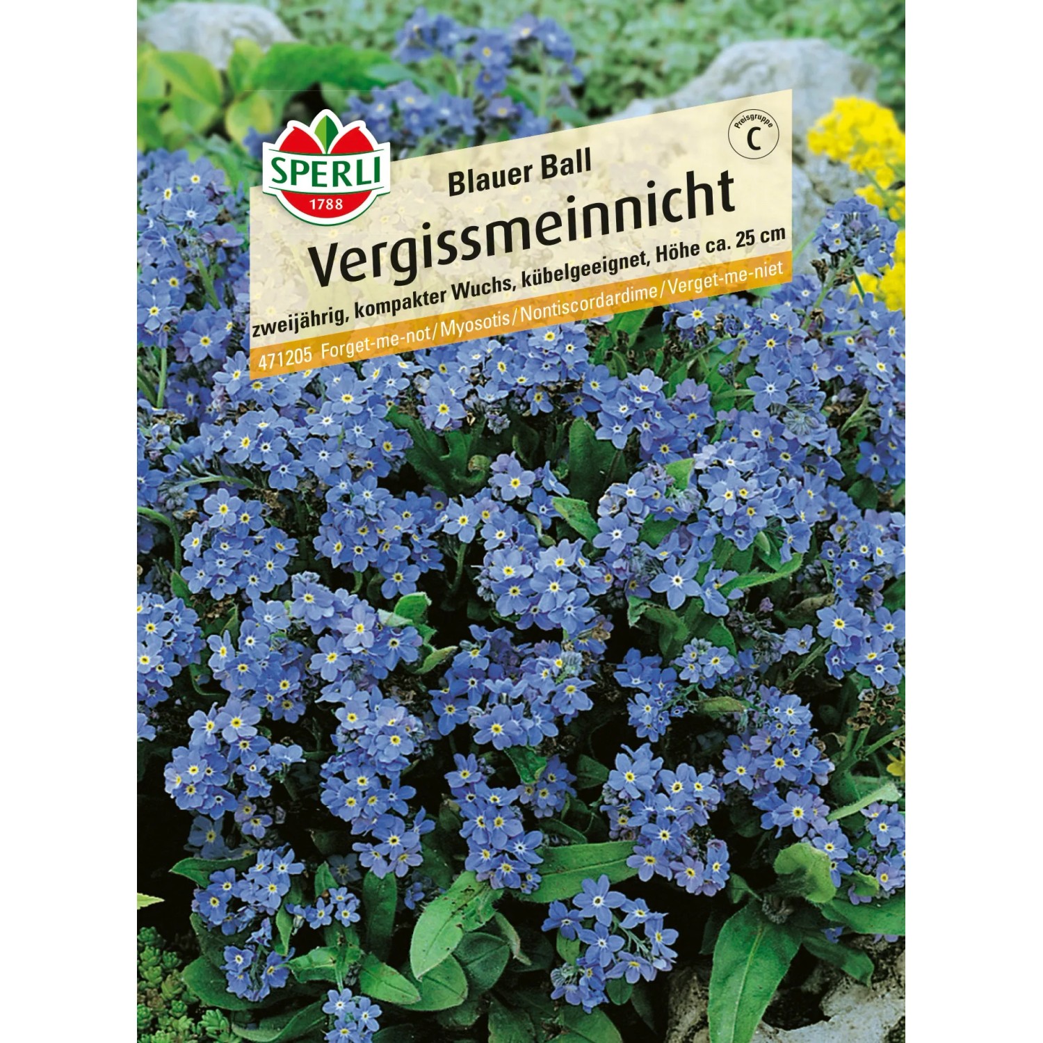 Sperli Vergissmeinnicht "Blauer Ball" Blau