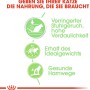 Grafik zu Royal Canin Digest Sensitive Katzenfutter: Reduzierter Stuhlgeruch, Idealgewicht, gesunde Harnwege.