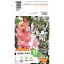 GROW by OBI Blumenzwiebeln Pastellfarben-Kollektion, verschiedene Blumen in Pastelltönen.