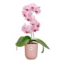 Rosa Elho Orchideentopf Vibes Fold mit blühender Orchidee. Stilvoller Topf für Zimmerorchideen.