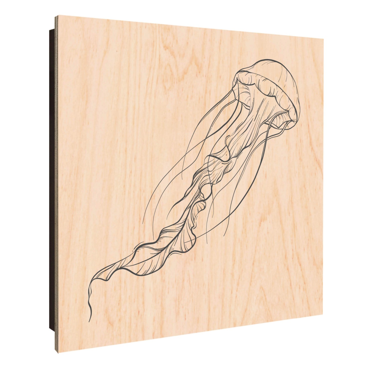 Banjado Großer Schlüsselkasten Holz 30x30cm Schwarz Scharnier Links 50 Hake günstig online kaufen