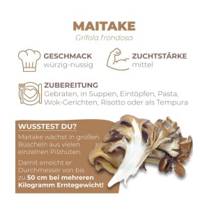Hawlik Pilzbrut Bio Pilzzuchtset für Maitake mit Vorbereitetem Myzel-Substrat Inkl. Anbau-Anleitung