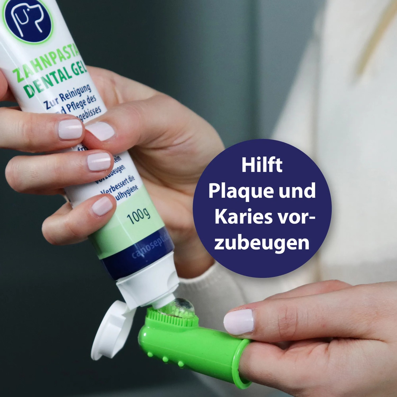 Canosept Zahnpflege-Set: Zahnpasta wird auf Finger-Zahnbürste für Hunde aufgetragen.