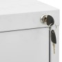 Detailaufnahme: Hellgrauer vidaXL Aktenschrank aus Stahl mit Schloss und Schlüssel.