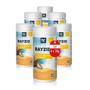 Bayzid pH Plus Granulat, 6 x 1 kg Set zur pH-Wert Erhöhung im Pool.