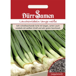 Dürr Samen Lauchzwiebeln Lange Weiße Kaigaroo Saatgut Packung mit frischen Lauchzwiebeln.