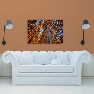 Bricoflor Leinwandbild Herbstwald mit Baumkronen in Orange und Blau, 90x60 cm.