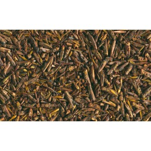 Tetra ReptoDelica Grasshoppers: Getrocknete Heuschrecken als Reptilienfutter, reich an Proteinen.