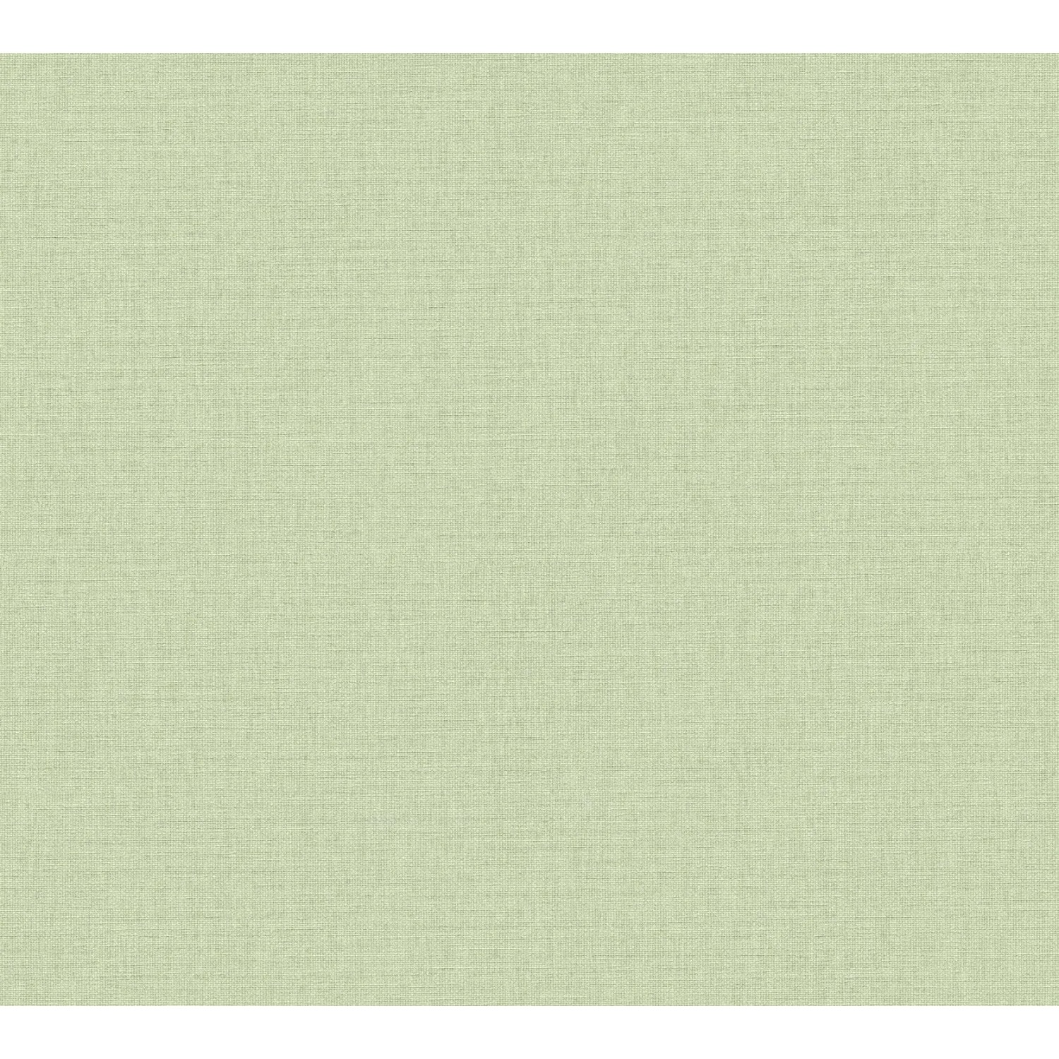 Tadessi Tapete Uni M1-No.11850 Vliestapete in Grau
