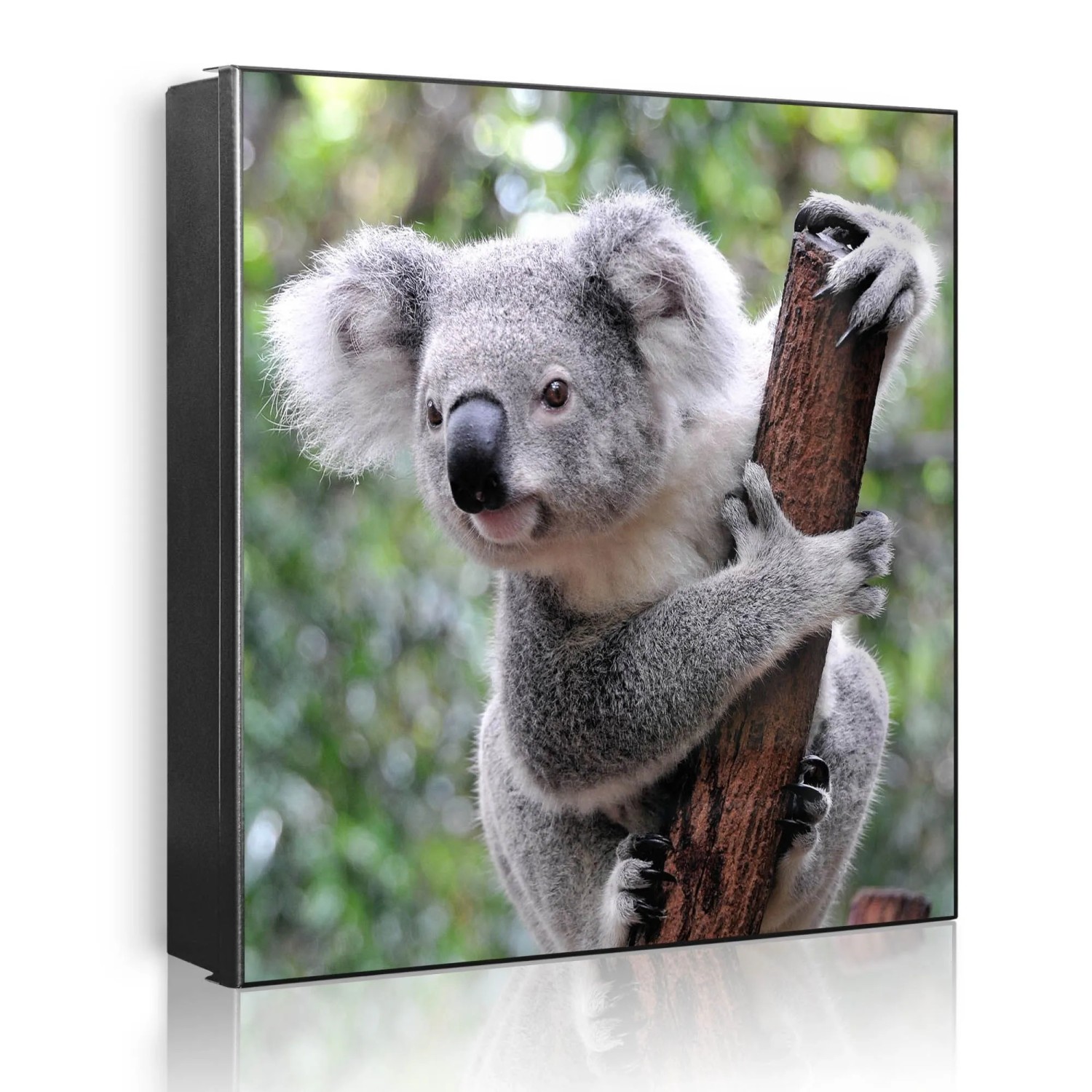 Banjado Großer Schlüsselkasten Metall 30x30cm Schwarz Scharnier Rechts 32 Haken Beschreibbar Magnetisch Motiv Koala