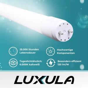 LUXULA LED T8 Röhre, 150cm, kaltweiß, 22W. Leuchtstoffröhre mit Stift-Sockel im Detail.