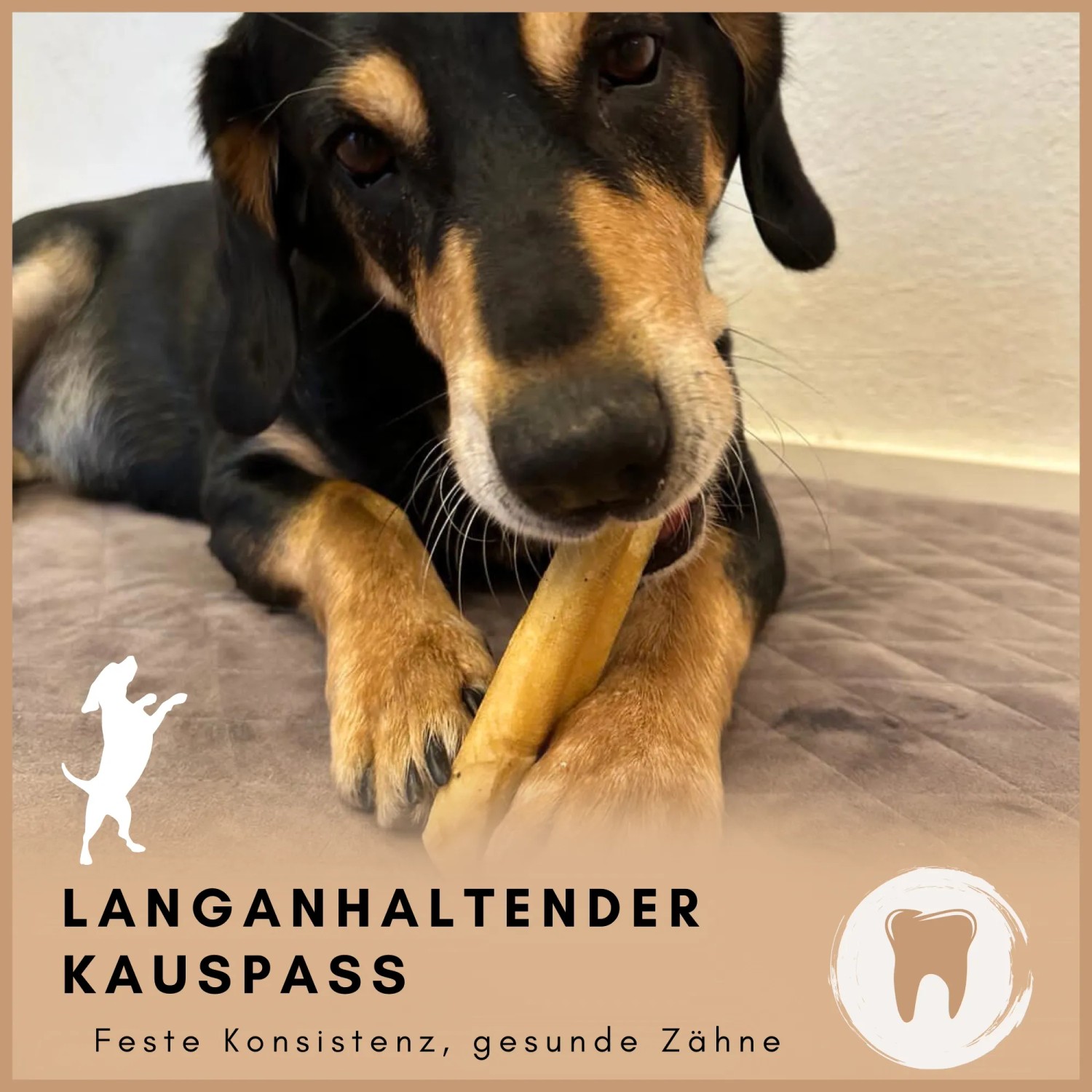 Supravit Yak Kaukäse Größe XL 3er Pack für Hunde_4