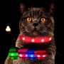 Dunkle Katze trägt leuchtendes rotes Halsband. Grüne, pinke, blaue, rote Leuchtmodi für sichere Nachtsichtbarkeit.