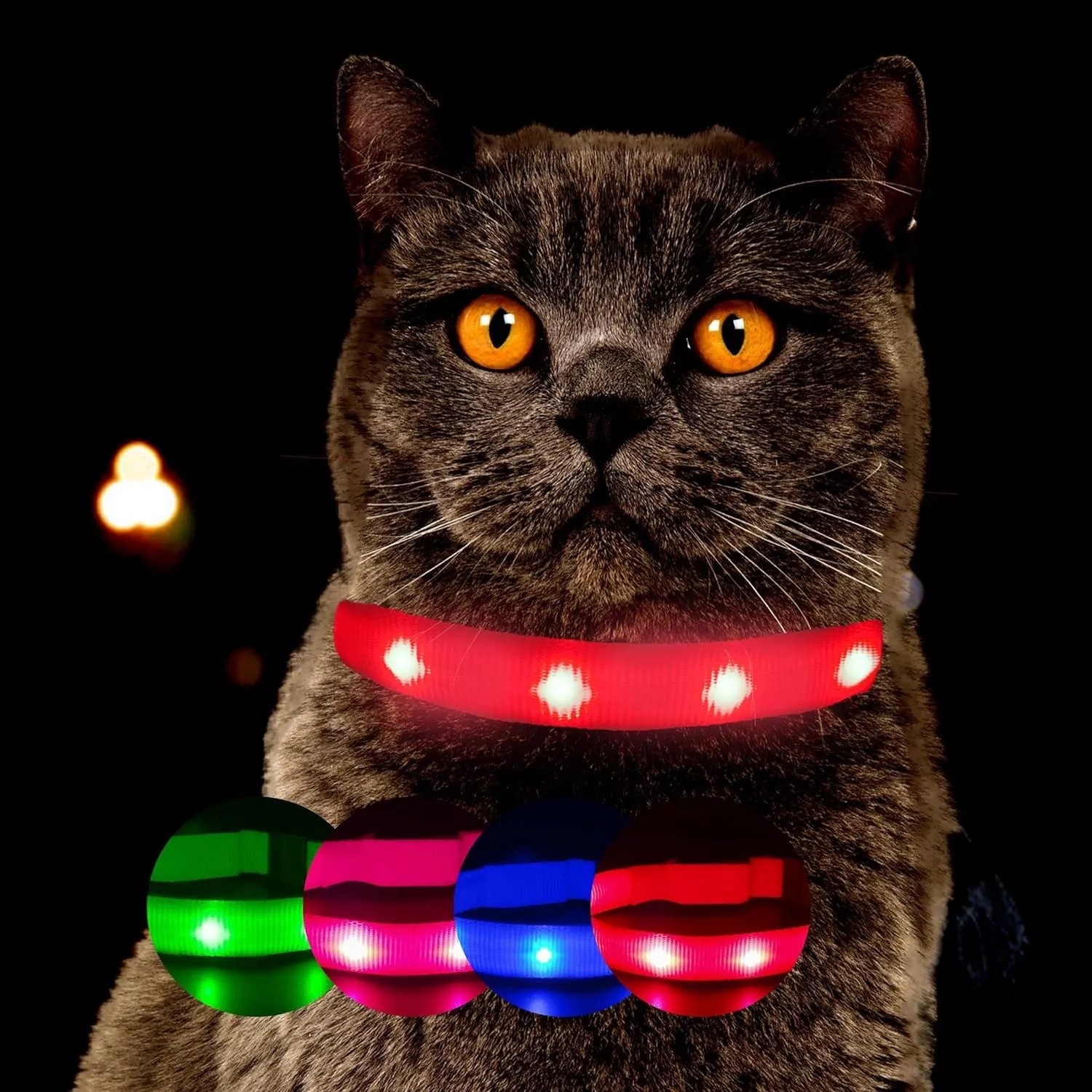 Dunkle Katze trägt leuchtendes rotes Halsband. Grüne, pinke, blaue, rote Leuchtmodi für sichere Nachtsichtbarkeit.