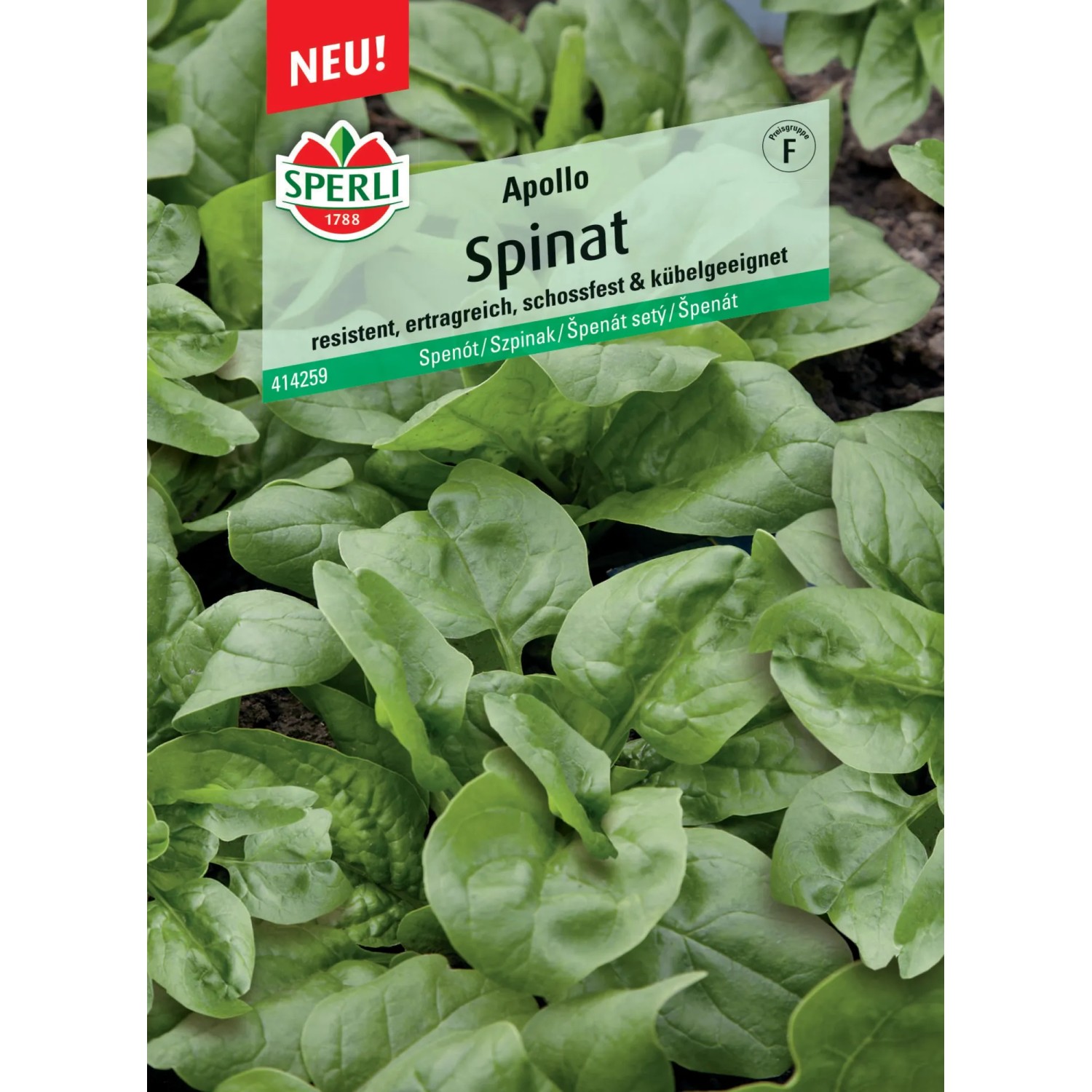 Sperli Spinat "Apollo" F1-Hybride