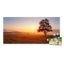 Banjado Magnettafel 78x37cm, Sonnenaufgang Motiv mit Baum und Nebel. Weiße Metall-Pinnwand mit 4 Magneten und Foto.