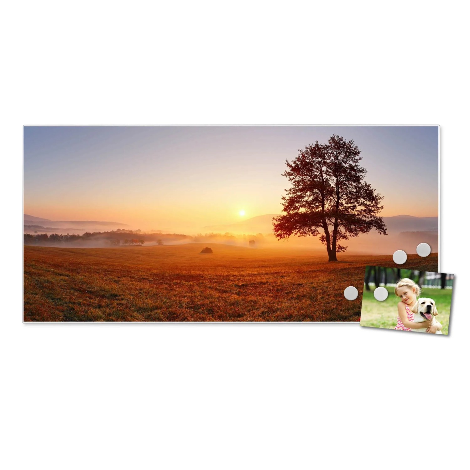 Banjado Magnettafel 78x37cm, Sonnenaufgang Motiv mit Baum und Nebel. Weiße Metall-Pinnwand mit 4 Magneten und Foto.