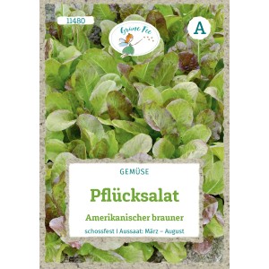 Samenpackung Grüner Fee Pflücksalat Amerikanischer Brauner, Gemüsesamen für ca. 200 Pflanzen.
