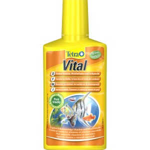 TetraVital Wasserpflegemittel 250ml für vitalere Fische und ein farbenprächtiges Aquarium.