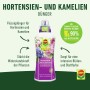 Compo Hortensien- und Kameliendünger 1L Flasche mit Blüten-Motiv und Dosierkappe.