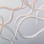 Nahaufnahme von Nematoden, zur biologischen Ameisenbekämpfung im Garten.