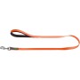 Orange Hunter Führleine Convenience, 1,2 m lang, mit gepolsterter Handschlaufe für Hunde.