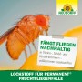Nahaufnahme einer Fruchtfliege auf Neudorff Lockstoff-Verpackung für Fruchtfliegenfalle.