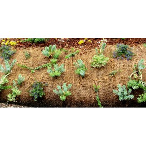Aquagart Kokosmatte 20m, 1m breit, bepflanzt als Böschungsschutz im Garten.