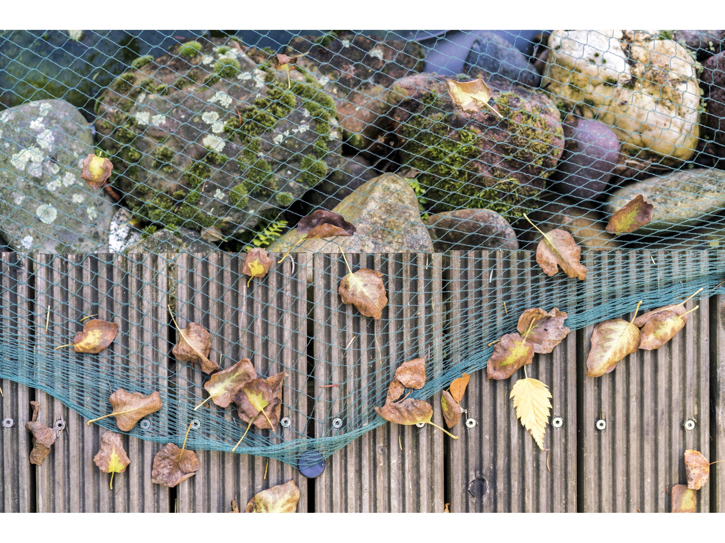 Teichnetz Oliv 10x10m - Schutznetz Mit 5cm Maschen Für Teiche & Gartenteiche