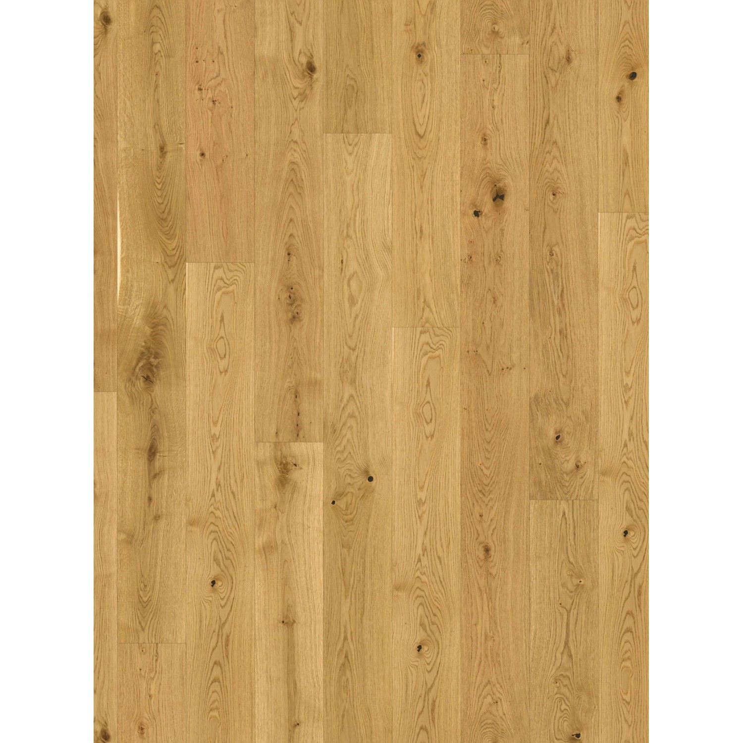 Parador Parkettmuster 3025 Rustikal Eiche Gebürstet Landhausdiele Lackiert Matt