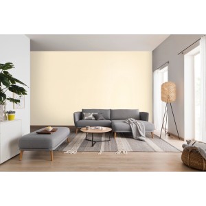 Wohnraum mit Schöner Wohnen Glimmerfarbe Light Beige an der Wand.