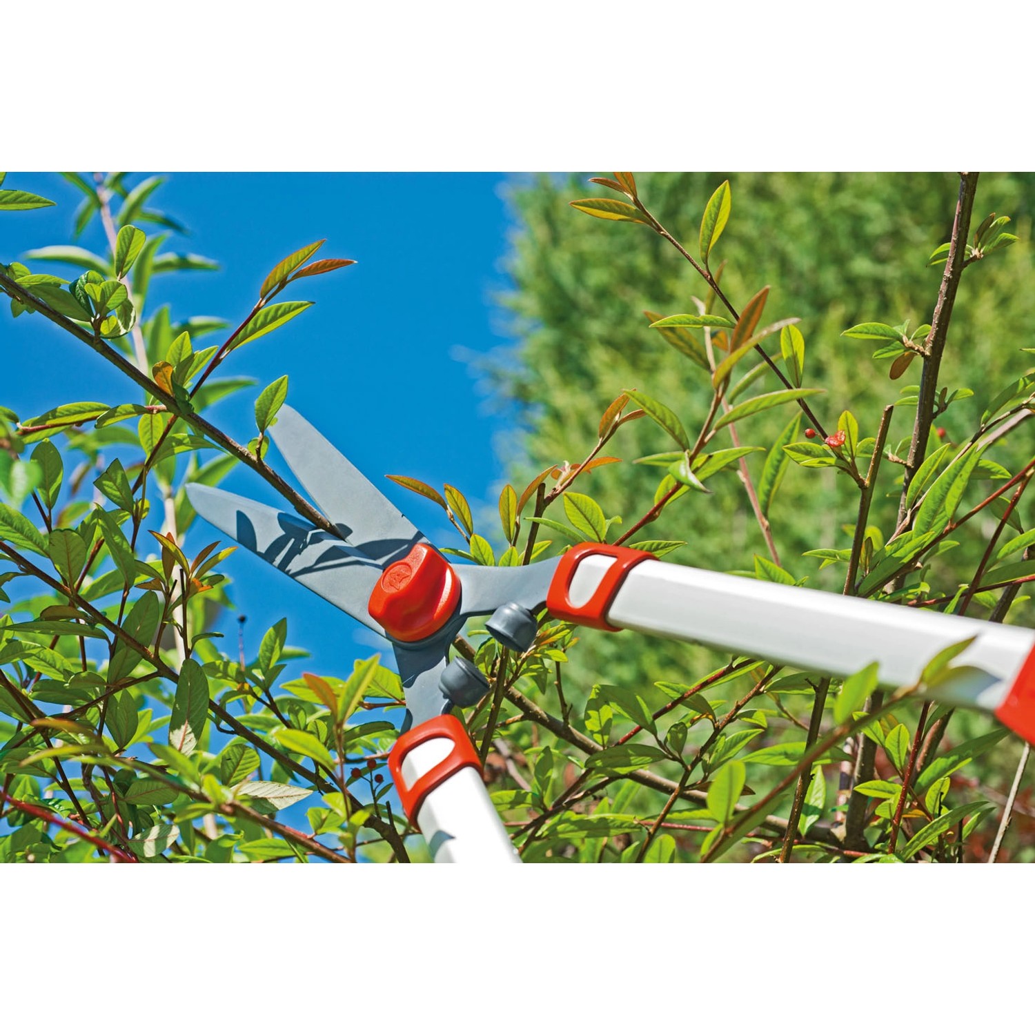 WolfGarten TeleskopHeckenschere HS 1000 T kaufen bei OBI