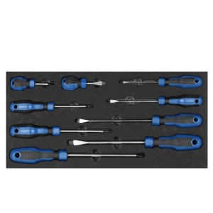PROREGAL Werkzeug Satz mit 9 Schraubendrehern in Schaumstoffeinlage für Werkstattwagen.
