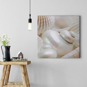 Quadratisches Muschelbild auf Leinwand in Creme-Weiß. Maritime Wanddekoration für Wohnräume.
