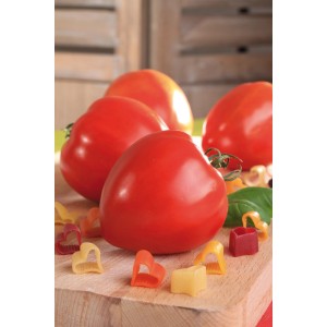 Veredelte Ochsenherztomaten (Solanum lycopersicum) auf Holzbrett mit Pasta.