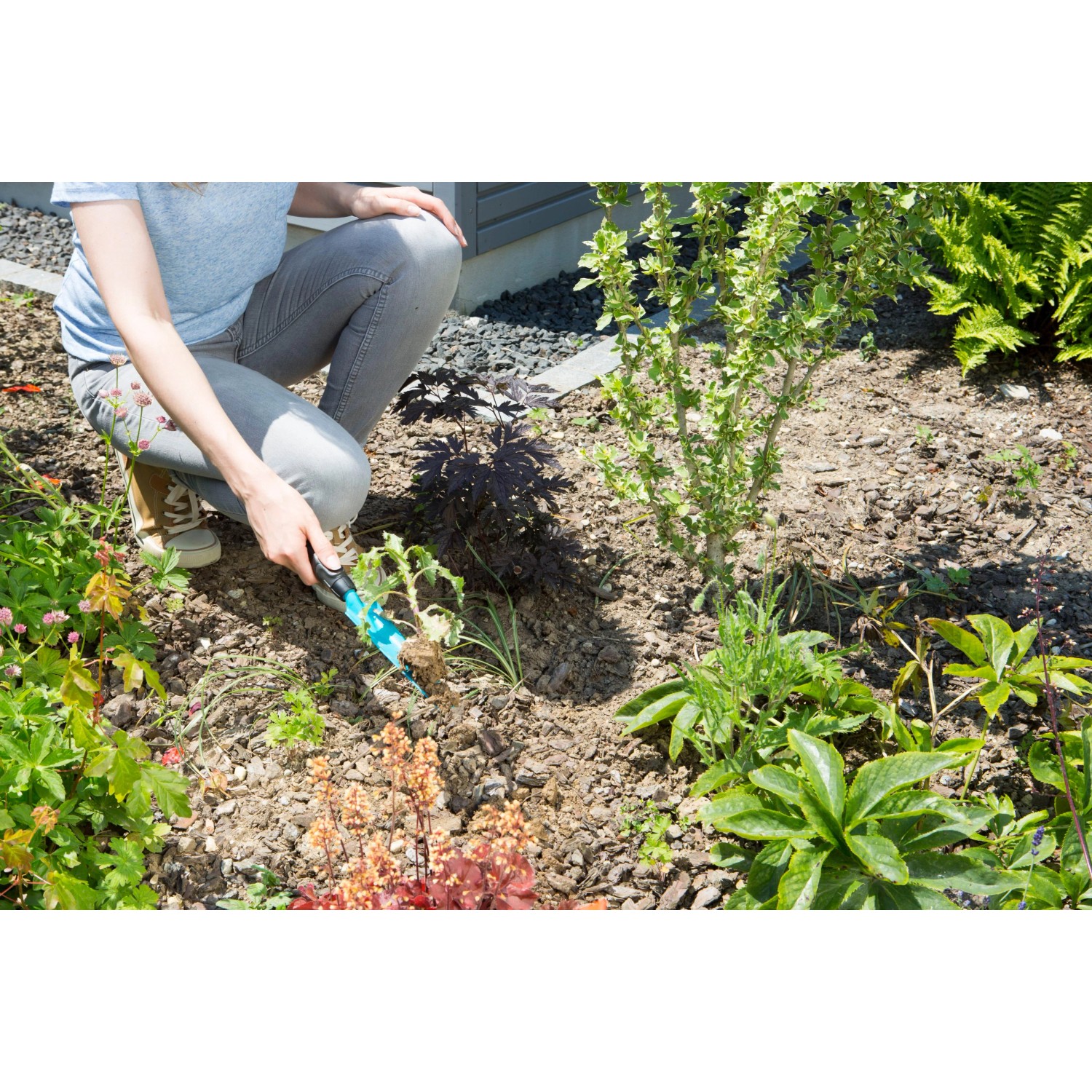 Gärtnerin entfernt Unkraut mit dem Gardena Unkrautstecher im Garten.