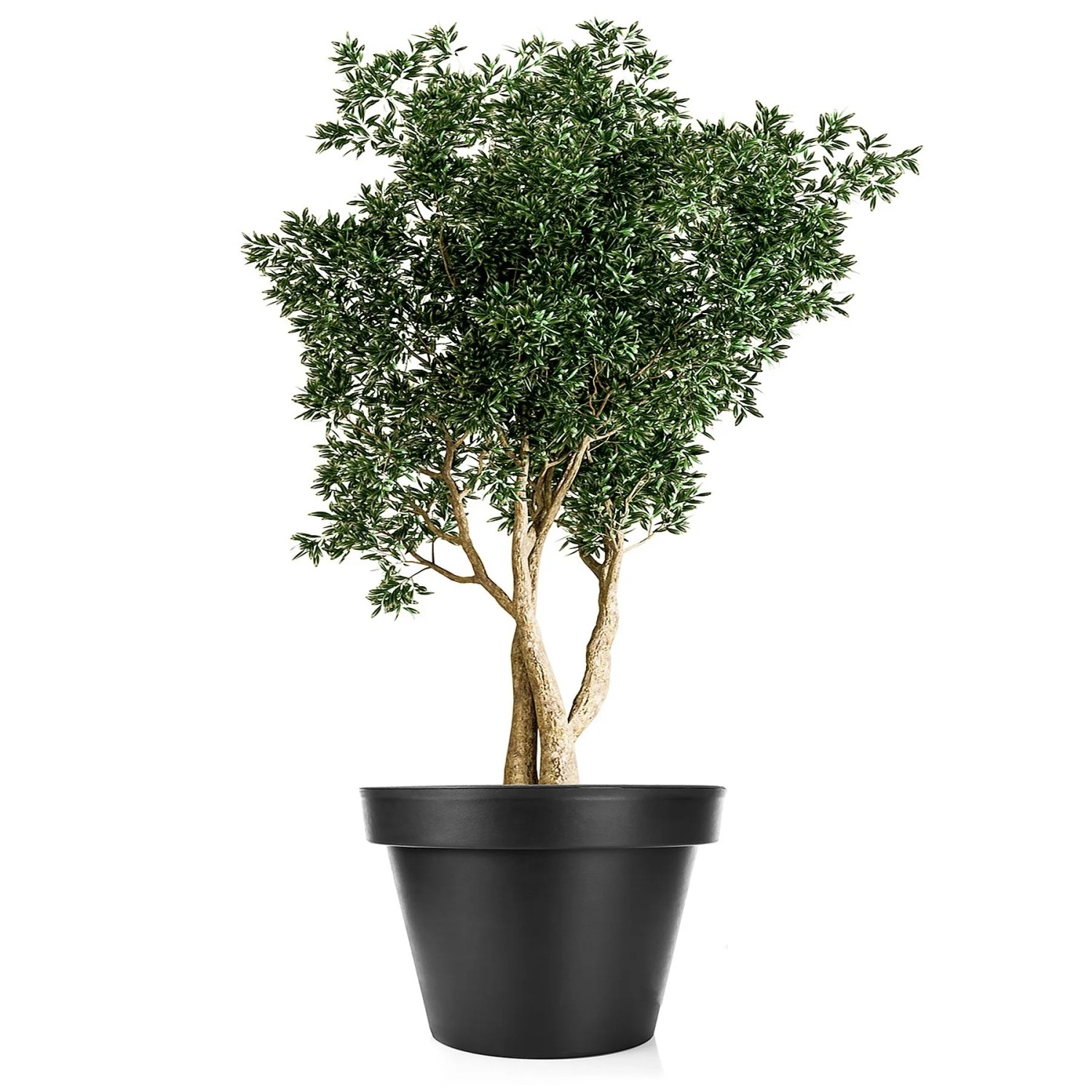 BigDean Blumentopf XXL Durchmesser 60 Cm Classic Anthrazit Mit 360 Grad Rollen Wiederverschließbarer Wasserablauf Wetterfester Kunststoff Pflanzkübel BigDean Blumentopf XXL ø60 cm Classic anthrazit - mit 360 Grad Rollen wiederverschließbarer Wasserablauf - wetterfester Kunststoff - Pflanzkübel groß