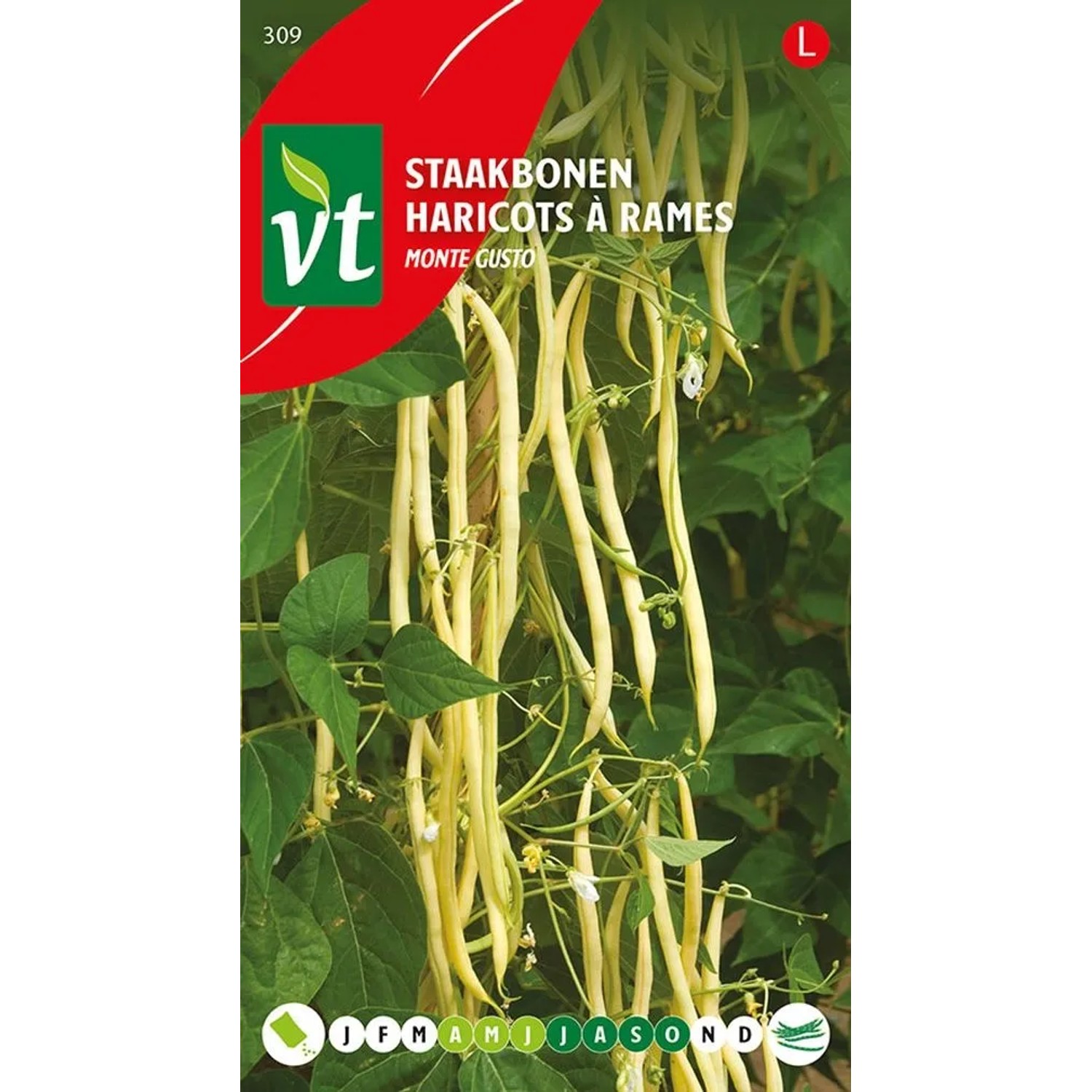 arborix Bohnen Monte Gusto SamenCa. 25 GrHoher Ertrag An Bohnen