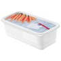 Rotho Gefrierdose Domino, 3er-Set, 1,2 l, mit Karotten-Motiv auf dem Deckel.