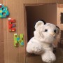 Tesa Powerstrips: Buchstaben (BEN) mit Klebestreifen an Karton befestigt.
