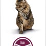 GimCat Malt-Soft-Paste Extra 200g: Katzen-Snack zur Reduzierung von Haarballen.