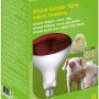 Kerbl Hartglas-Infrarotlampe 150W im Karton, Zubehör für Geflügel.