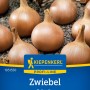 Kiepenkerl Speisezwiebel 'Hylander' F1-Hybride, gelb-braune Zwiebeln im Detail.