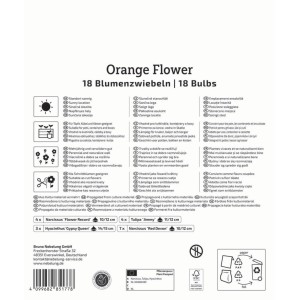Kiepenkerl Blumenzwiebel Mega Pack Orange Flower 18 Stück. Verpackung mit 18 Narzissen, Tulpen, Hyazinthen für Beet & Kübel.